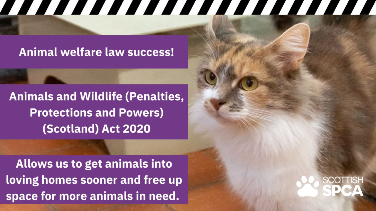 Animal Law Day ALAW