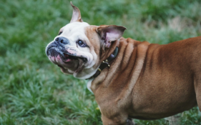 2025 Annual Student Essay Competition Winners