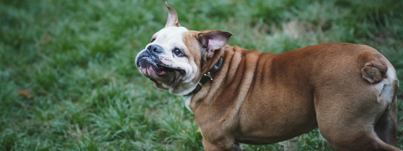 2025 Annual Student Essay Competition Winners