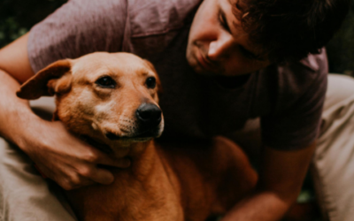 ‘More Than Baggage’: European Multispecies Families 