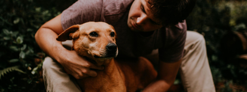 ‘More Than Baggage’: European Multispecies Families 