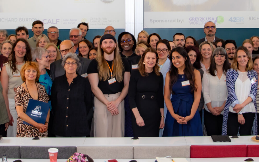 University of Birmingham Hosts UK’s Largest Animal Law Conference