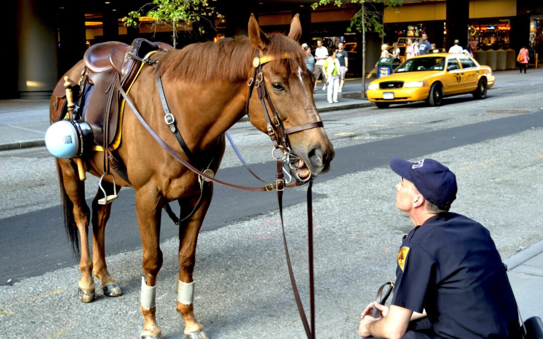 A carriage too far: why New York should retire Central Park’s horses