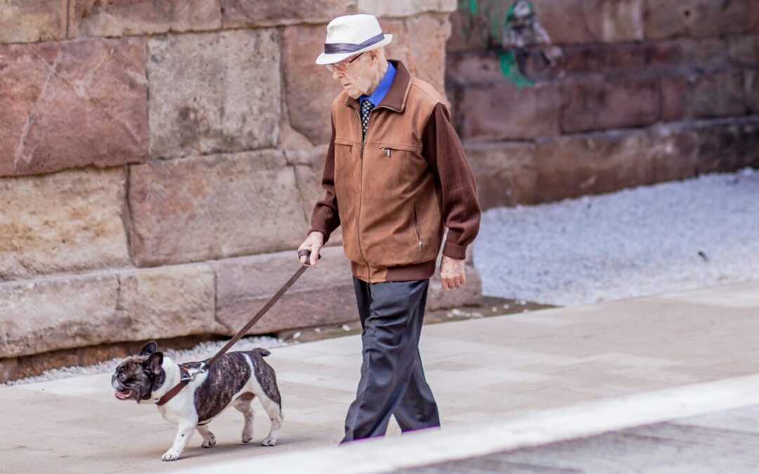 From Property to Sentient Beings: The Legal Status of Companion Animals under Spanish Law