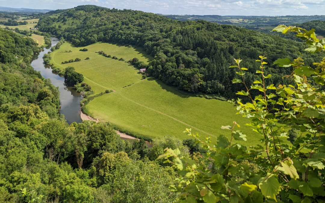 Could a River Go to Court? Understanding the UK’s Groundbreaking Nature’s Rights BillĀ