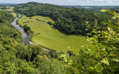 Could a River Go to Court?                                                                       Understanding the UK’s Groundbreaking Nature’s Rights Bill 