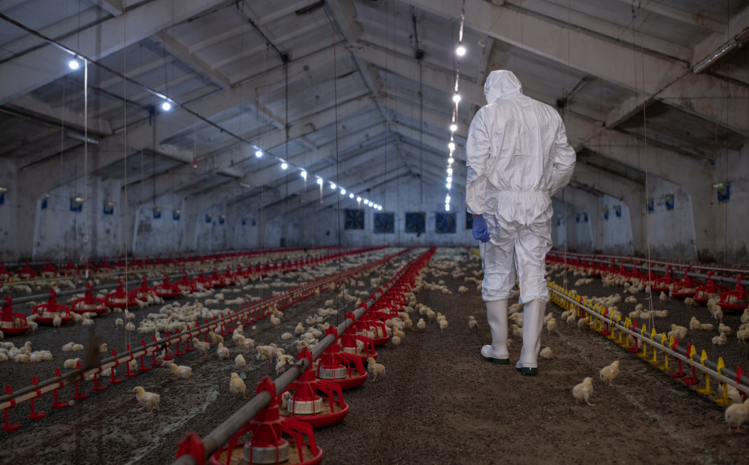 Regulation, Scrutiny & Transparency